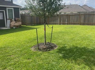 Rebecca S.'s Lawn Mowing service result
