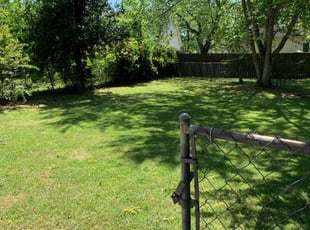 Laura B.'s Yard Cutting service result