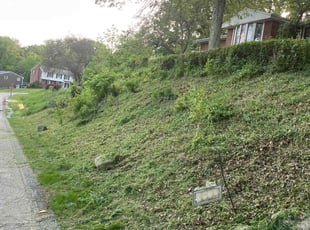 Cleanups by Michael Stenhouse for Brooke Y. in Pittsburgh, PA
