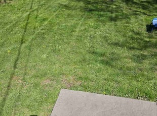 Landscaping by Thomas Quinn for Ashaunah S. in Rochester, NY