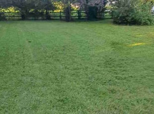Arnold C.'s Lawn Care service result