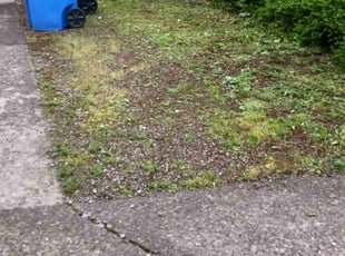 Weeding by Brandon Hill for Tanya G. in Sandy, OR