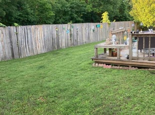 Marcy B.'s Lawn Mowing service result