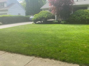James C.'s Lawn Mowing service result