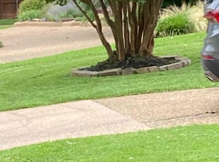 Weeding by Noe Montiel for Jennifer B. in Mesquite, TX