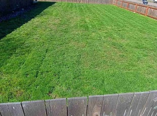 Amanda M.'s Lawn Mowing Service service result