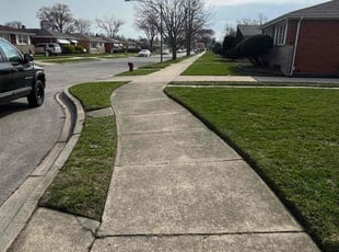 Sarah S.'s Lawn Mowing Service service result