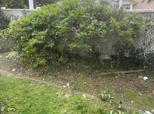 Bush Trimming by Nelson Guerrero for Angie T. in Clifton, NJ
