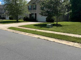 Randy W.'s Lawn Care service result