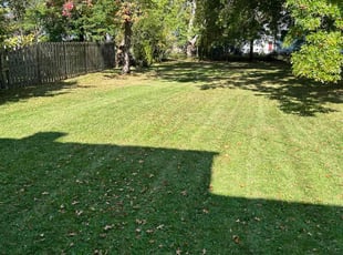 Charity M.'s Lawn Mowing service result