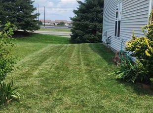 Kenneth R.'s Lawn Service service result