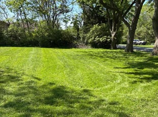 Cleanups by Tim Kirkpatrick for Lonnie Z. in Lee's Summit, MO