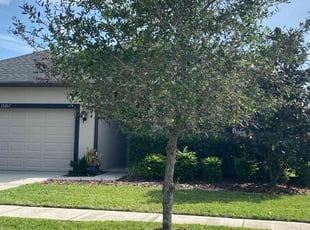 Tony G.'s Yard Cutting service result