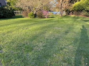 Adam W.'s Lawn Maintenance service result