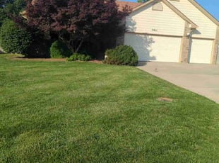 Keith G.'s Lawn Care service result