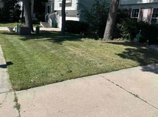 Laura H.'s Lawn Care service result
