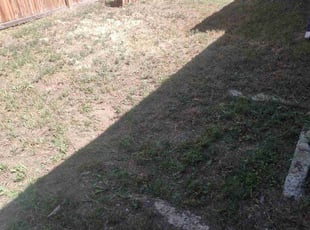 Weeding by Kevin Mills for Renee D. in Arvada, CO