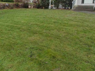 Kyna G.'s Yard Cutting service result