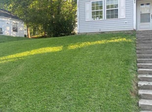 Chris G.'s Lawn Mowing service result