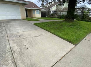 Mia C.'s Lawn Mowing service result