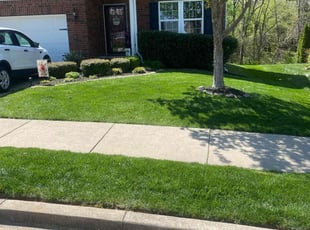 Olusola O.'s Lawn Maintenance service result