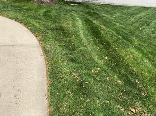 Mary T.'s Lawn Care service result