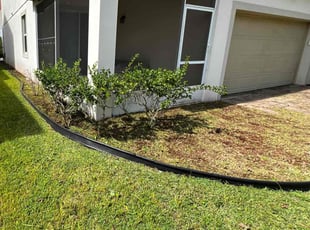 Weeding by James Ramey for Bruce O. in Orlando, FL