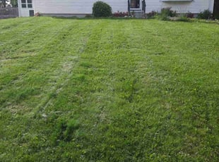 Glenn W.'s Grass Cutting service result