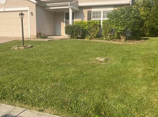 Donna M.'s Lawn Mowing service result