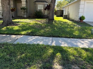Carlton B.'s Lawn Mowing Service service result