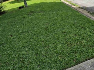 Charley B.'s Grass Cutting service result