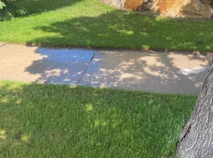 james t.'s Lawn Service service result