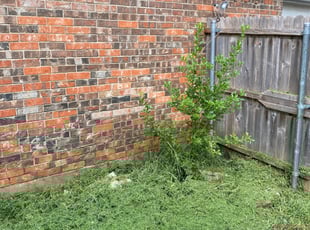 Landscaping by Billy Woodruff for Paula . in Lewisville, TX