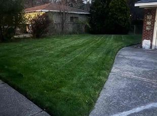 William H.'s Lawn Care service result