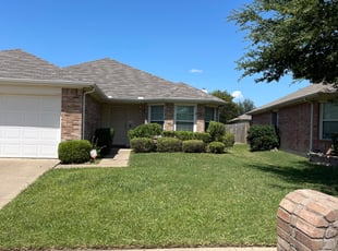 Bush Trimming by Trisha Williams for Laura F. in Dallas, TX