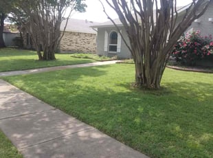 Ranjani R.'s Lawn Mowing service result