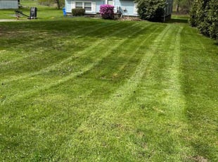 Frank D.'s Lawn Mowing service result