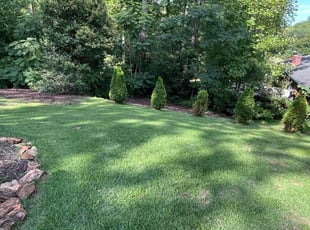 David T.'s Lawn Service service result