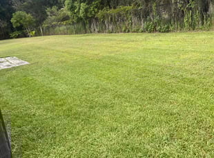 Sean C.'s Lawn Mowing Service service result