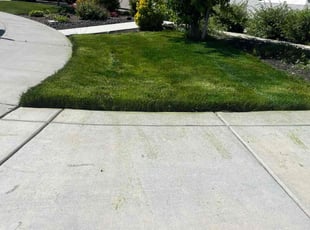Nick K.'s Lawn Mowing Service service result