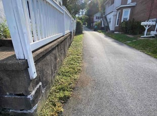 Nicole G.'s Grass Cutting service result