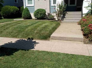 Bush Trimming by Cole Coots for Jonathan D. in Louisville, KY