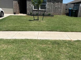 Quinton C.'s Lawn Care service result
