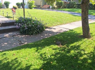 James H.'s Lawn Service service result