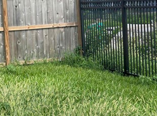 Cleanups by Paul Jones for Anna B. in Houston, TX