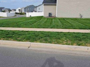 Jason B.'s Lawn Mowing Service service result