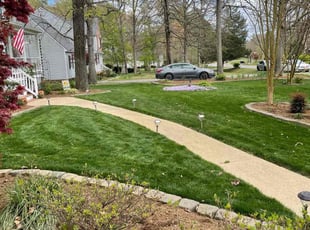 Linda C.'s Lawn Mowing service result