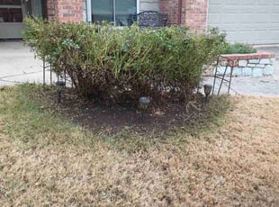 Bush Trimming by James Jones III for Teresa S. in Oklahoma City, OK