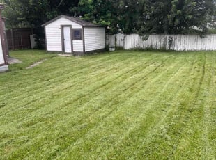 Anthony T.'s Lawn Care service result