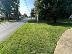 Steven C.'s Lawn Maintenance service result